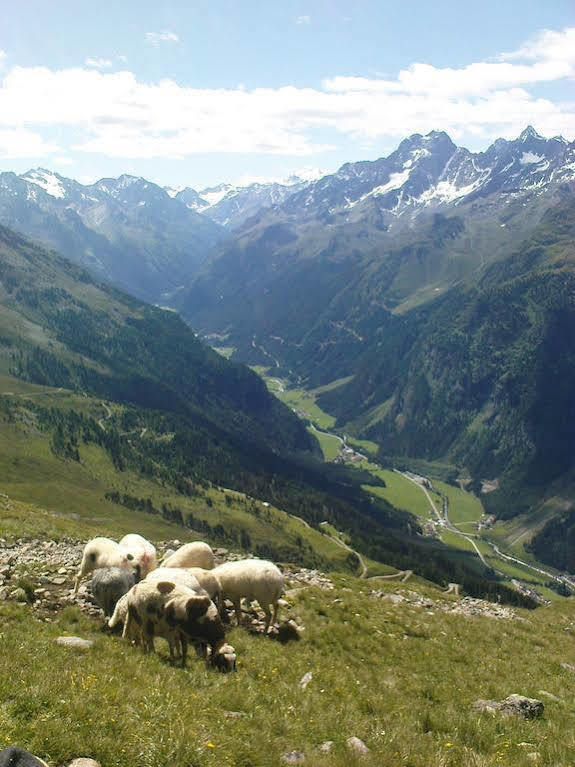 Ferienwohnung Bergspitz Sankt Leonhard im Pitztal Bagian luar foto